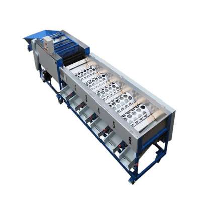 Automatic feeding size grader pomegranate sorting machine